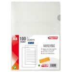 Bigpoint L Dosya Standart 90 Mikron 100'lü Paket
