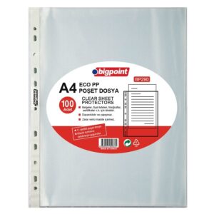 Bigpoint Poşet Dosya Eco 30 Mikron 100'lü Paket