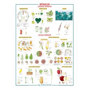 Bitkiler Levhası 70x100 cm