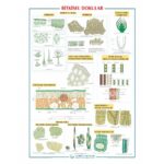 Bitkisel Dokular Levhası 70x100 cm