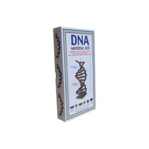 DNA Modeli Yapalım Deney Seti