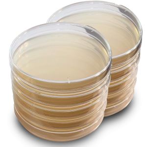 Petride Agarlı Besiyeri Kromojenik E.Coli Koliform Agar 30 adet/paket