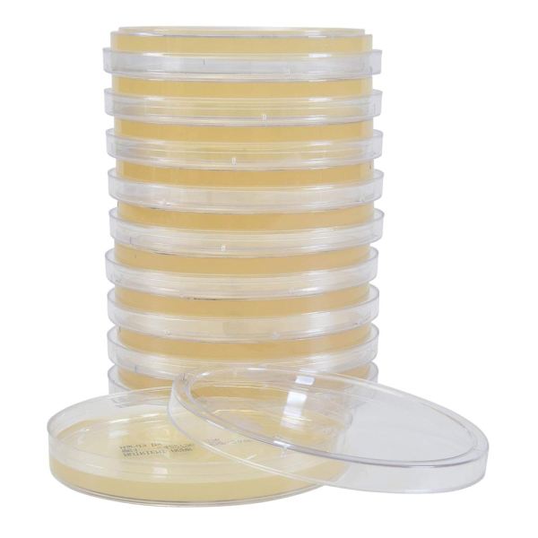 Petride Agarlı Besiyeri Kromojenik E.Coli Koliform Agar 30 adet/paket - Görsel 2
