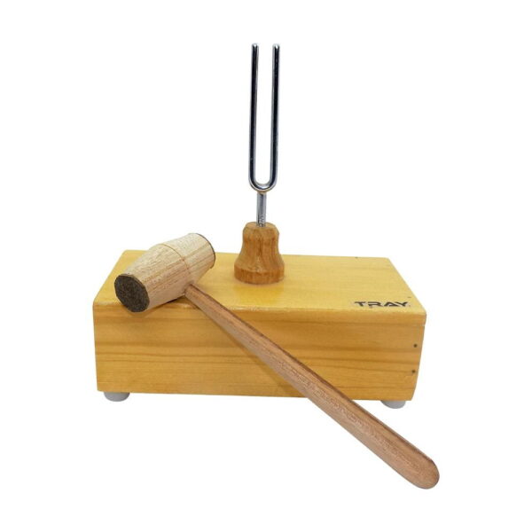 Diyapozon 480 Hz Tokmağı ile - Görsel 2