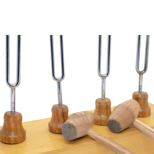Diyapozon Takımı 4 lü Set - Görsel 2