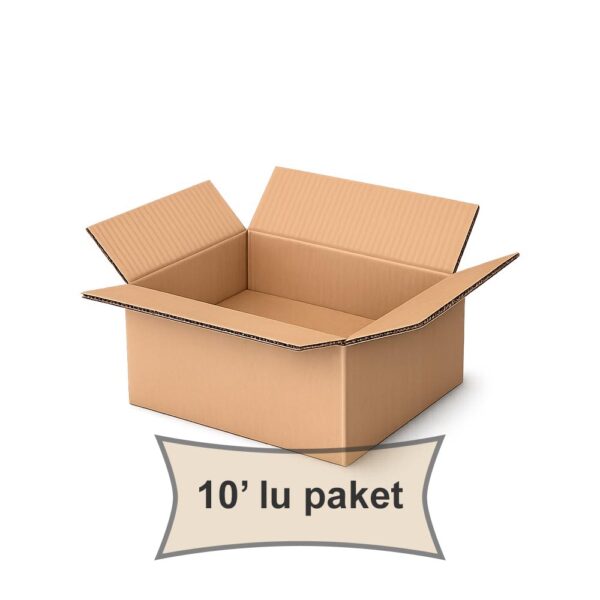 Karton Koli Çift Oluklu 20x20x10 cm 10 adet - Görsel 2