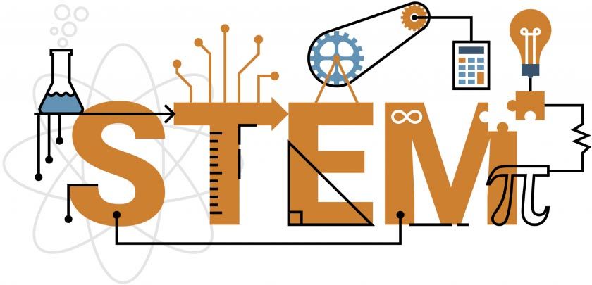 stem